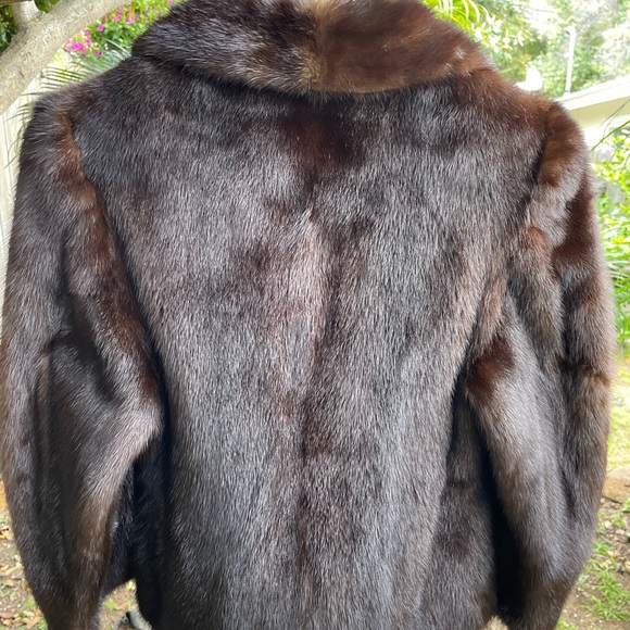 Elegant Dark Mink Fur Jacket Bolero From Germany Clean No Monogram - Picture 3 of 4